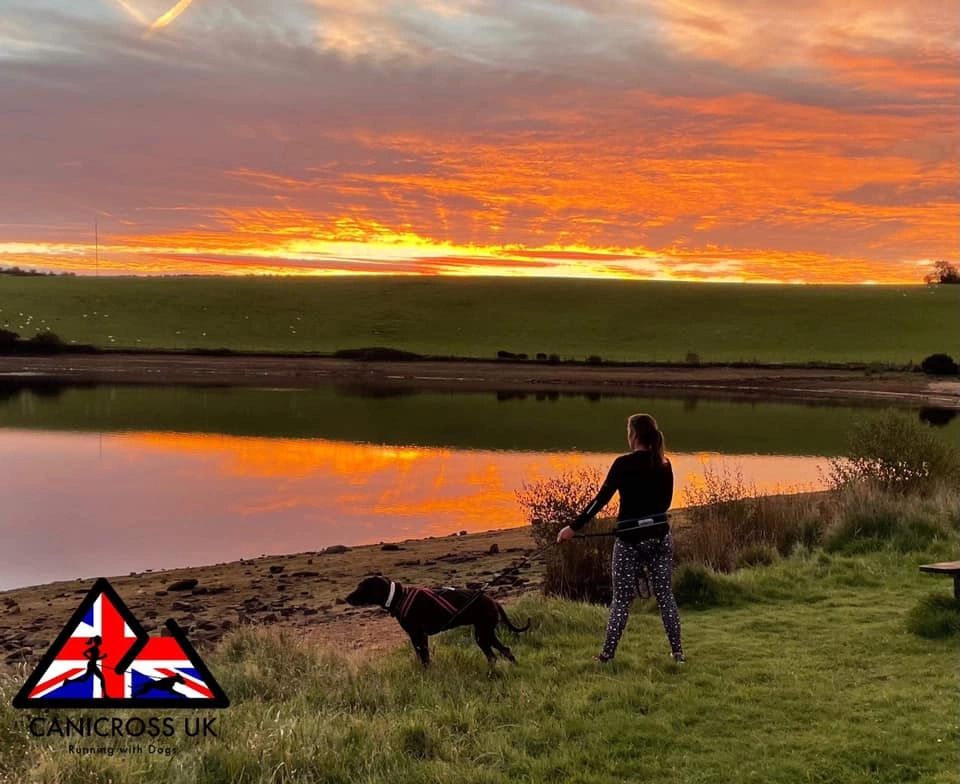 girl standing with a canicross dog sunrise