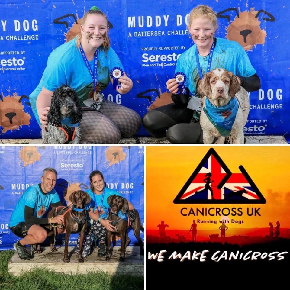 muddy dog challenge canicross obstacle race 