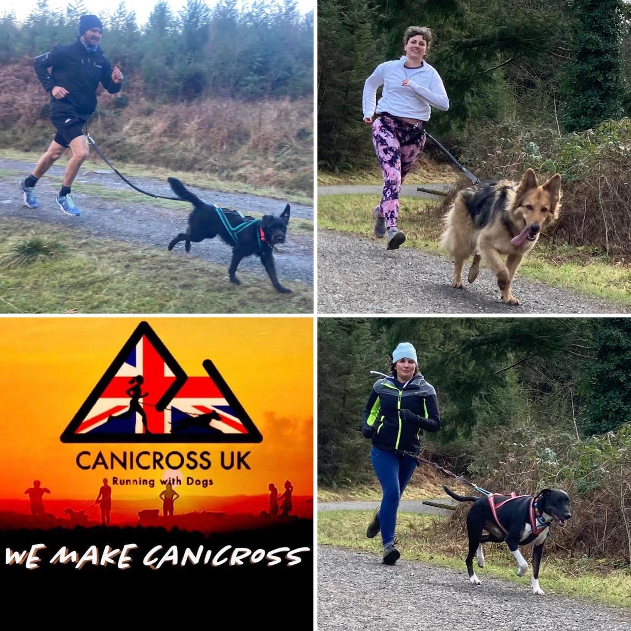 canicross improvers running with dogs