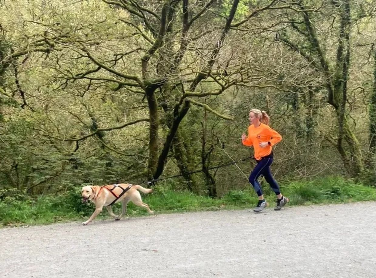 trail running with a dog a Canicross 