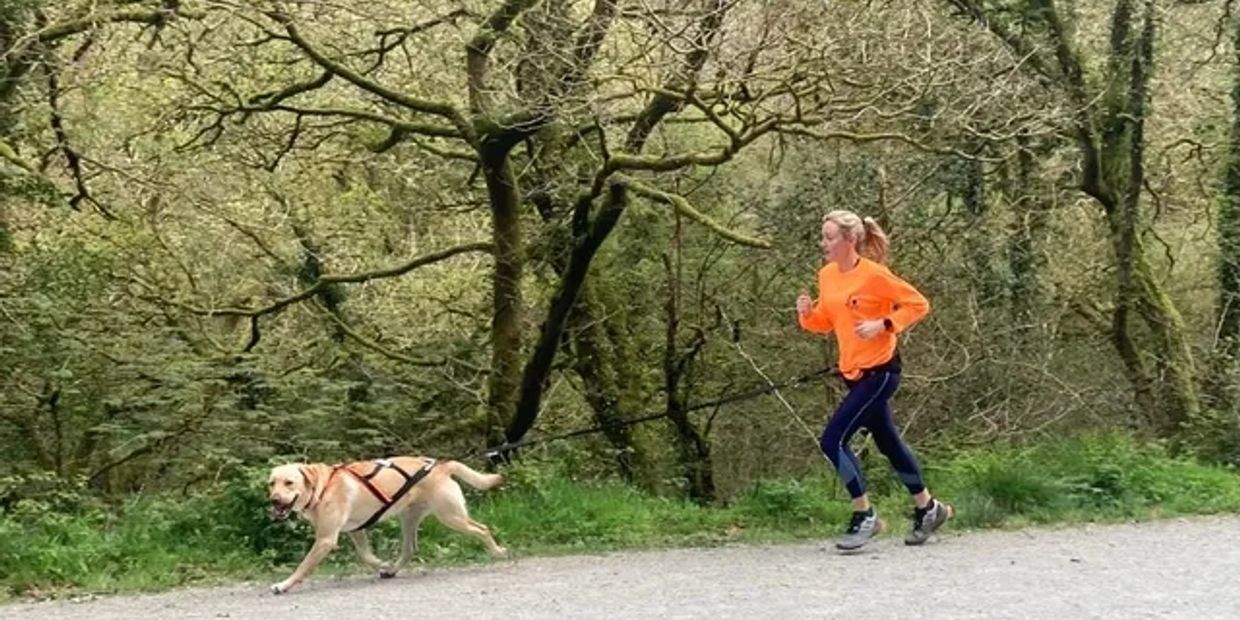 trail running with a dog a Canicross