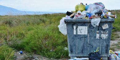 garbage overflowing out of a dumpster with a scenic green field and distant mountain
