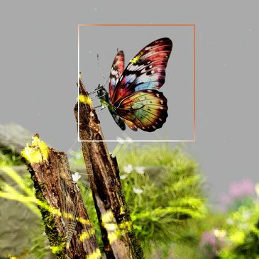 Ed-Camp Learning Strategies Counselling - Identification & Improvements