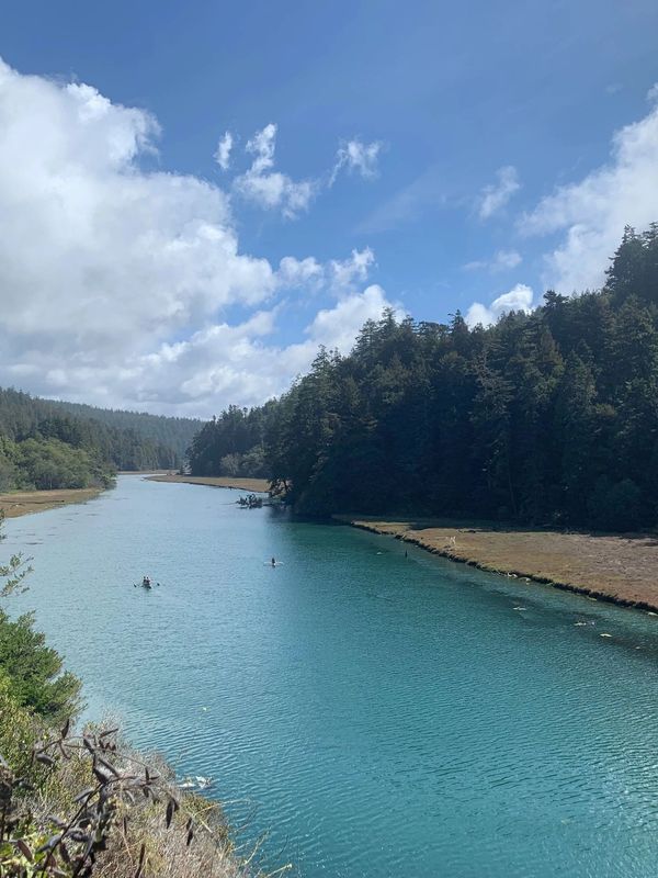 Big River, Mendocino County taken by Swift Biological Consulting LLC