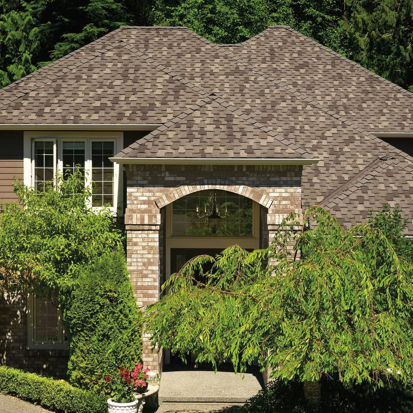 Roof. Replaced. Material. Shingles. Designer. Asphalt. 111. Photo Gallery.