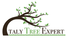 Italy Tree Expert
