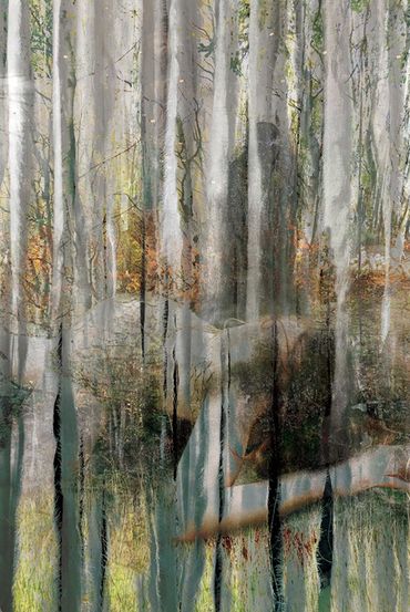 "Fallen" - Artwork by Allison Inglesby © 2022