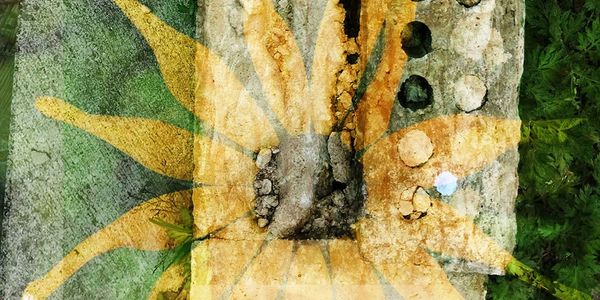 "Natural Restoration" - artwork by Allison Inglesby © 2020