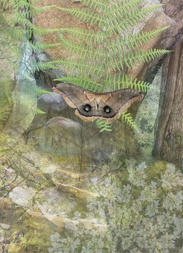 "Nature's Bride" - Artwork by Allison Inglesby © 2020