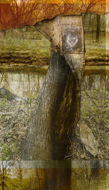 "Raven Tree" - Artwork by Allison Inglesby © 2020