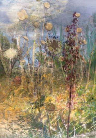 "Wayward Landscape"- Artwork by Allison Inglesby © 2022