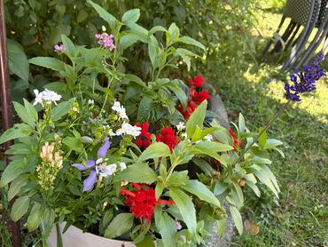 Garden project