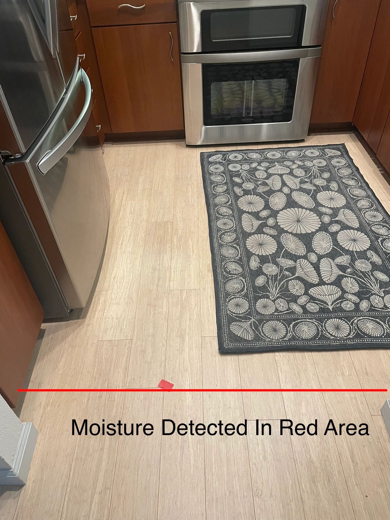 Water Leak Detection in Walnut Creek, CA