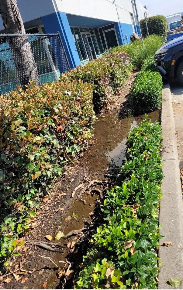 Leak Detection in Fremont