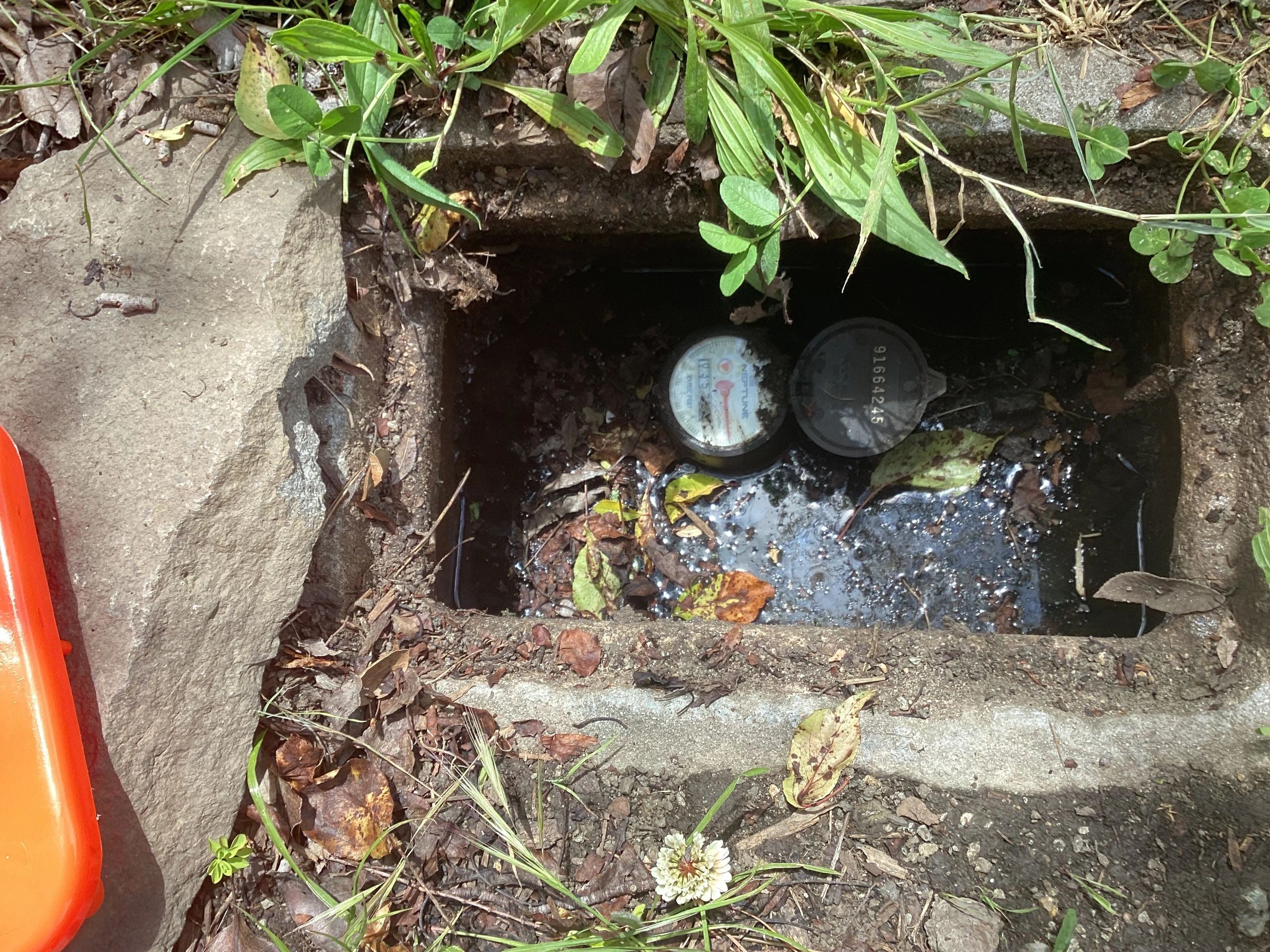 Water Leak Detection in Foster City, CA