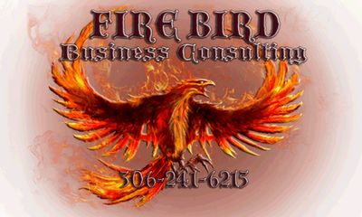 Firebird Business Consulting Ltd servicing Saskatoon, Regina, Prince Albert, Saskatchewan, Toronto 