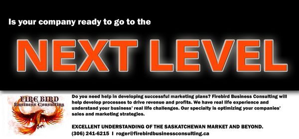 Next Level Business Solutions - Firebird Business Consulting - Business Consultant - Saskatoon