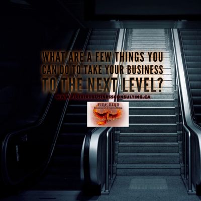 What you can do to take your business to the next level? - Firebird Business Consulating Saskatoon