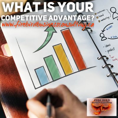 What is your competitive advantage? - Firebird Businenss Consulting Ltd. - Saskatoon - Sask - Canada