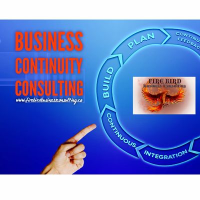 Business Continuity Consulting Services - Risk Management Consulting - Firebird Business Consulting
