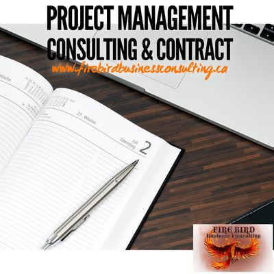 Contract Project Management – Project Management Consulting - Firebird Business Consulting Ltd. - Sk