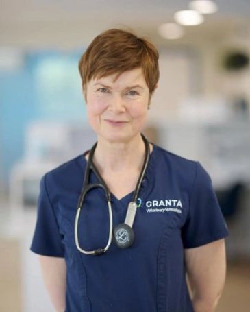 A female veterinary professional in a blue uniform with a stethoscope.