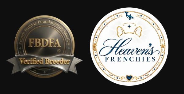 French Bulldog Foundation of America Verified Breeder, Heaven's Frenchies