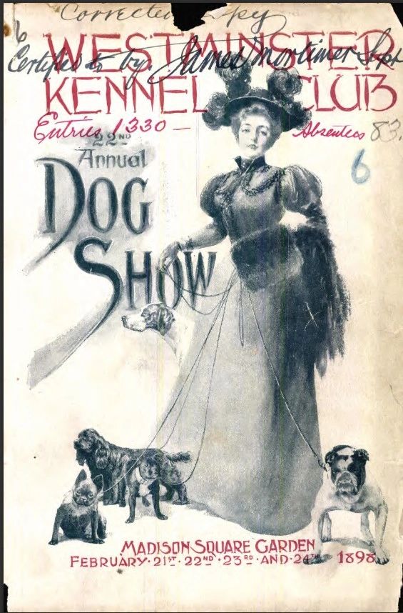 Westminster Catalog 1898 featuring BOTH types of French Bulldog Ears: Bat and Rose