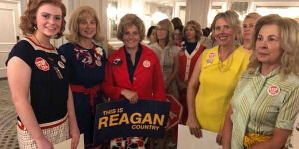 An array of women from Mrs. America, dressed to protest! Housewives unite!