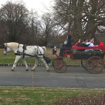 Horse drawn wagon for rides during the holiday season