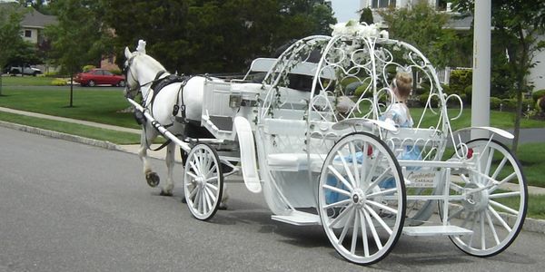 Cinderella Carriage with a Princess passenger pulling up to  a home for a Princess Party 