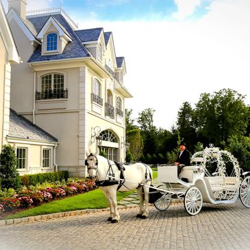 Cinderella Carriage at The Park Chateau