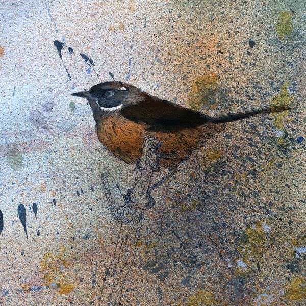 Detailed street art of a bird on a textured wall.