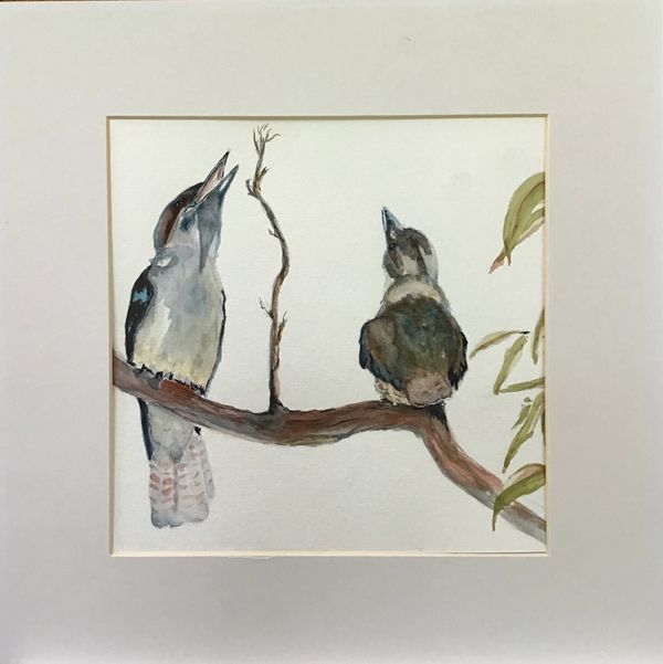 LAUGHING KOOKABURRA’S