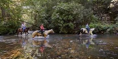 Horseback riding 3 horses and riders walking through a river