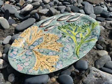 Sardines swimming on a platter with seaweed
