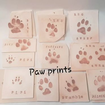 Group of tiles with dog paw prints impressed on them