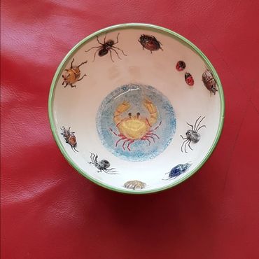 Bugs in a bowl