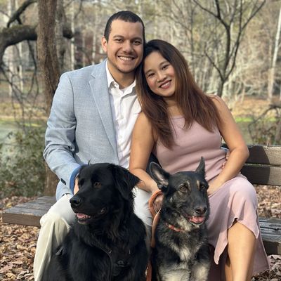 Couple sitting on a park bench with two dogs, surrounded by autumn leaves.