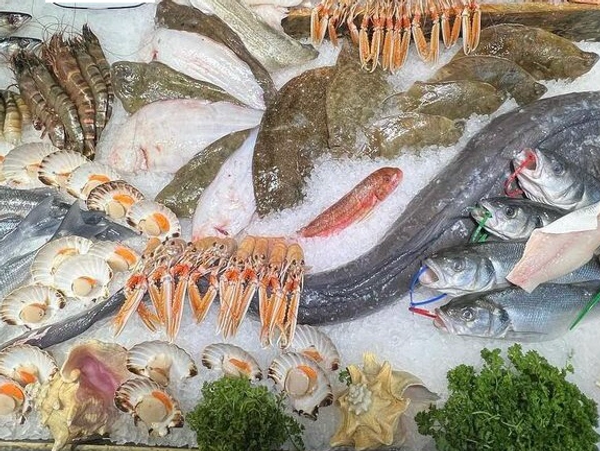 Selection of seafood