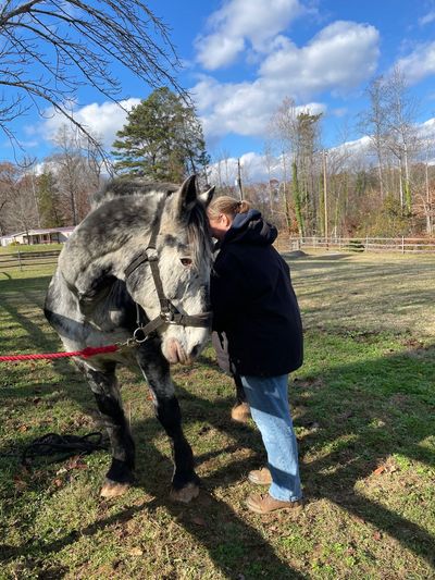 A person embracing a gray horse outdoors.