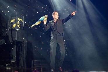 The magic of Jason Byrne and his amazing birds