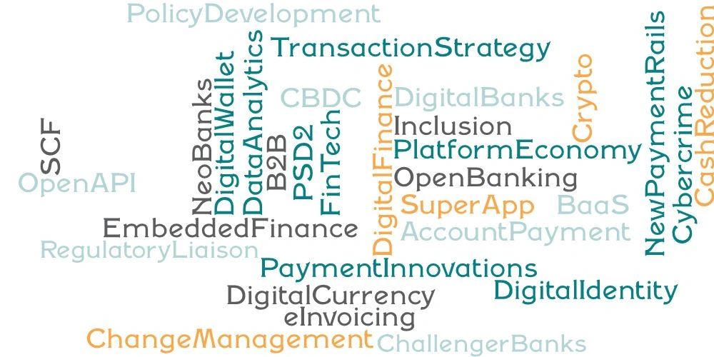 Michael Salmony, Transaction Strategy NeoBanks Embedded Finance Regulatory Liaison Crypto Cybercrime