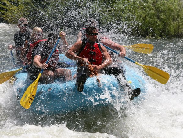 Brandon Frere Entrepreneur | About Brandon Frere