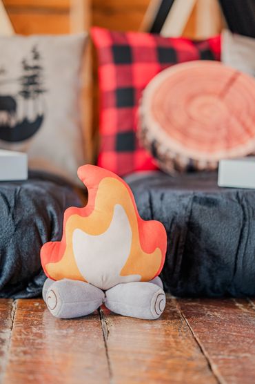 Sleepover Tents, Sleepover Ideas, Kids Party, Bozeman Kids Party, Bozeman Birthdays, Bozeman Events