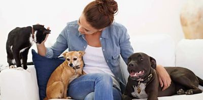 Pet Sitting in Chapin, Irmo and Lexington