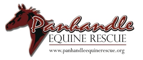 Panhandle Equine Rescue