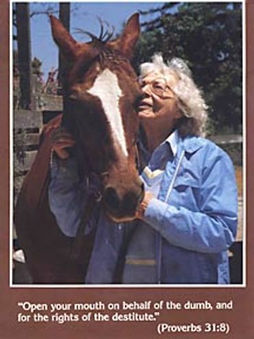 Still photography example - horse and woman