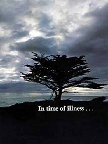 Still photography example - tree silhouetted against gray cloudy sky