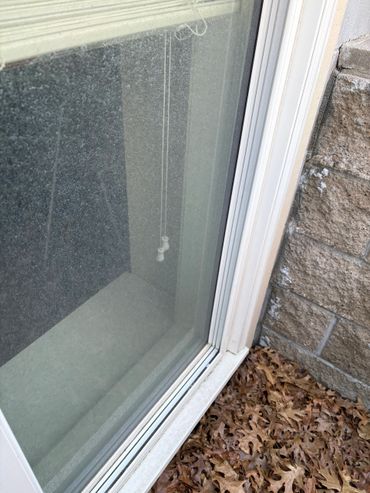 Dusty window with white blinds and dry leaves outside on the ground.